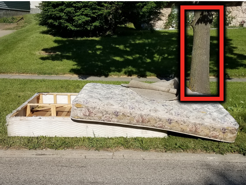 Bulk is behind the curb, but it is placed next to a tree